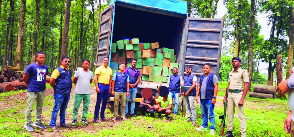 Illegal Timber Smuggling Attempt Foiled
