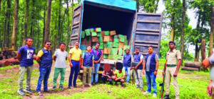 Illegal Timber Smuggling Attempt Foiled