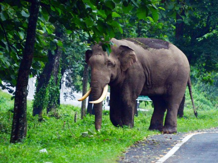 Image ref 134086674. Copyright Shutterstock No reproduction without permission. See www.shutterstock.com/license for more information.